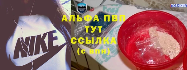 ГАЛЛЮЦИНОГЕННЫЕ ГРИБЫ Богданович