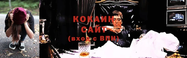 крисы Куйбышев