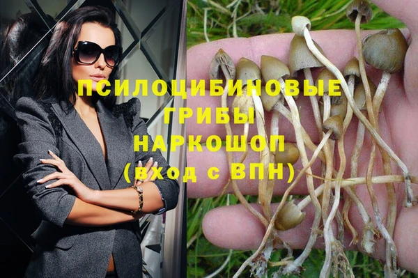 ГАЛЛЮЦИНОГЕННЫЕ ГРИБЫ Богданович