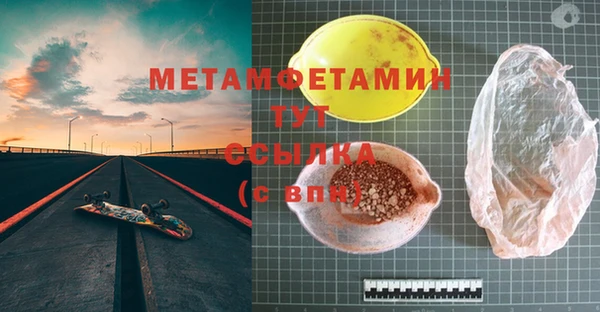 ГАЛЛЮЦИНОГЕННЫЕ ГРИБЫ Богданович