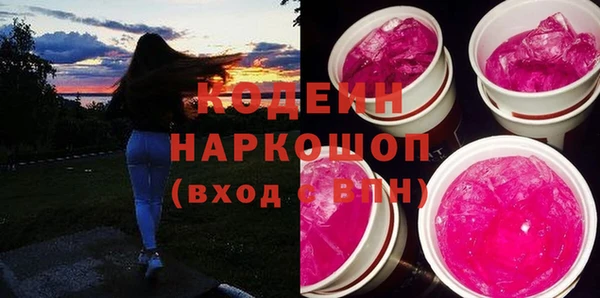 ГАЛЛЮЦИНОГЕННЫЕ ГРИБЫ Богданович