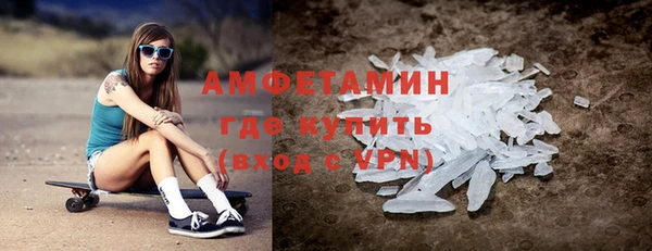 ГАЛЛЮЦИНОГЕННЫЕ ГРИБЫ Богданович