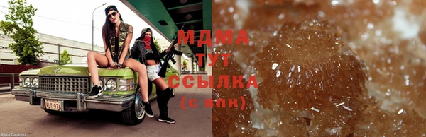 ГАЛЛЮЦИНОГЕННЫЕ ГРИБЫ Богданович