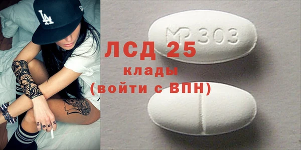 ГАЛЛЮЦИНОГЕННЫЕ ГРИБЫ Богданович