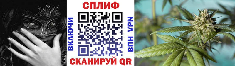 МАРИХУАНА семена  Оха 